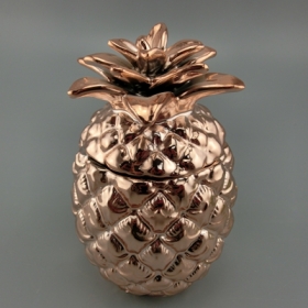 rose gold ceramic ananas voorraadpot