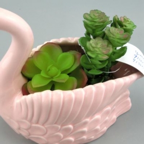 roze zwaan planter dierlijke mini plantenbak