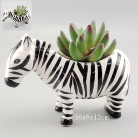 zebra vetplant mini keramische plantpot