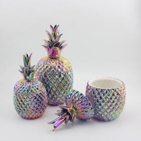 regenboog plating afwerking keramische ananas sieraden doos