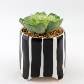 zwarte stippen mini keramische vetplant potten zwarte streep terracotta mini pot