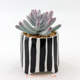 zwarte stippen mini keramische vetplant potten zwarte streep terracotta mini pot