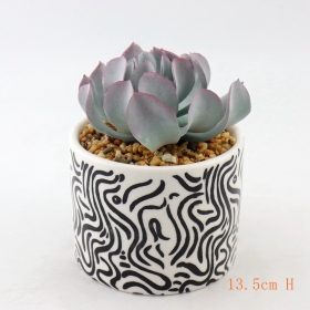 wit en zwart geschilderde keramische desktop mini vetplant potten