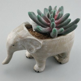 olifant sappige plantenbak keramische dierenpot