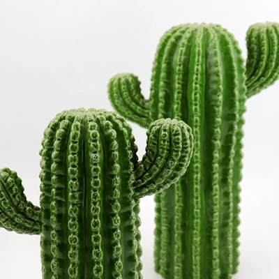 Onweersbui heel een groene keramische cactus beeldje thuis decors
